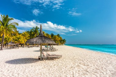 Mauritius adasında palmiye ağaçları ve tropikal denizi olan cennet plajı tatil köyü. Yaz tatili ve tropik plaj konsepti. Mauritius adasında Le Morne plajı olan kumsal. Tropikal manzara.