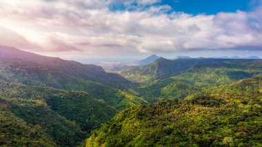Mauritius, Chamarel yakınlarındaki Black River Gorge Ulusal Parkı 'na bakın. Mauritius 'taki Black River Gorges Ulusal Parkı. Park, adanın kalan yağmur ormanlarının çoğunu koruyor..