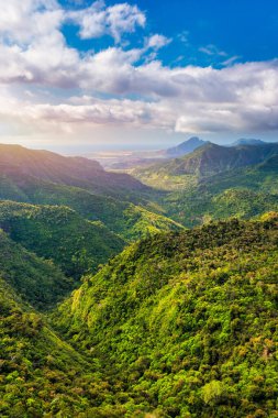 Mauritius, Chamarel yakınlarındaki Black River Gorge Ulusal Parkı 'na bakın. Mauritius 'taki Black River Gorges Ulusal Parkı. Park, adanın kalan yağmur ormanlarının çoğunu koruyor..