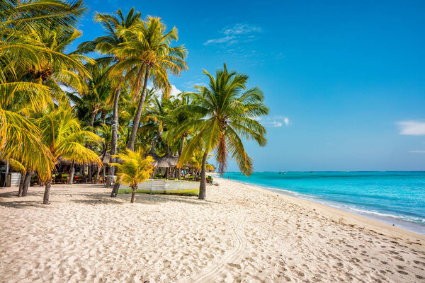 A beach with palm trees and umbrellas on Le morne Brabant beach in Mauriutius. Tropical crystal ocean with Le Morne beach and luxury beach in Mauritius. Le Morne beach with palm trees, white sand and luxury resorts, Mauritius.