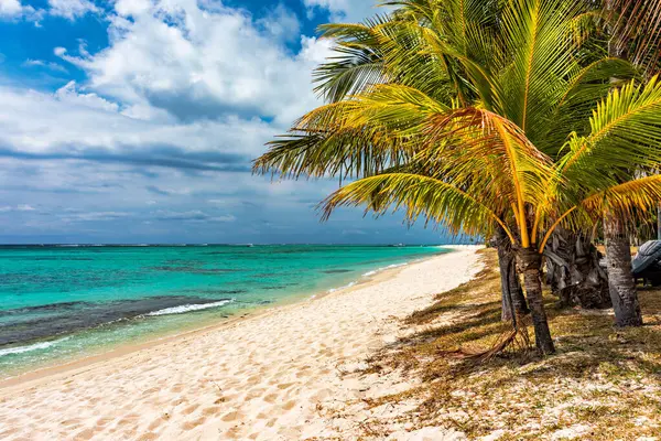 Тропічні Пляжні Пейзажі Відпочинок Райському Острові Маврикій Мрія Екзотичний Острів Ліцензійні Стокові Фото