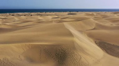 İspanya 'nın Kanarya Adaları, Gran Canaria' daki Maspaloma 'nın Doğal Rezervi manzarası. Gran Canaria, Kanarya Adaları 'ndaki Maspalom Kumulları' nın güzel manzarası, İspanya.
