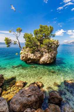 Hırvatistan 'ın Dalmaçya kıyısındaki Brela kentinin Kamen Brela sembolü. Kamen Brela, Makarska Riviera, Dalmaçya, Hırvatistan 'daki küçük ünlü ada.