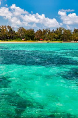 Tropik sahil manzarası, Mauritius adasında tatil. Rüya gibi egzotik bir ada, tropik bir cennet. Mauritius adasının en iyi plajları, Mauritius, Hint Okyanusu, Afrika 'nın lüks tatil beldeleri..