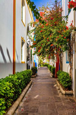 Puerto de Mogan, Gran Canaria, İspanya 'da çiçek açan cadde. Adada turistlerin ve yerlilerin en sevdiği tatil yeri. Puerto de Mogan ve bir sürü begonvil çiçeği, Kanarya Adası..