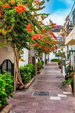 Street with blooming flowers in Puerto de Mogan, Gran Canaria, Spain. Favorite vacation place for tourists and locals on island. Puerto de Mogan with lots of bougainvillea flowers, Canary Island. clipart