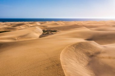 İspanya 'nın Kanarya Adaları, Gran Canaria' daki Maspaloma 'nın Doğal Rezervi manzarası. Gran Canaria, Kanarya Adaları 'ndaki Maspalom Kumulları' nın güzel manzarası, İspanya.
