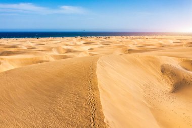 İspanya 'nın Kanarya Adaları, Gran Canaria' daki Maspaloma 'nın Doğal Rezervi manzarası. Gran Canaria, Kanarya Adaları 'ndaki Maspalom Kumulları' nın güzel manzarası, İspanya.