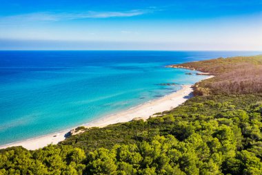 Baia dei Turchi 'nin havadan görünüşü, Puglia bölgesi, İtalya. Türk Körfezi (veya Baia dei Turchi), İtalya 'nın Salento kentindeki en önemli ekosistemlerden biridir. Baia dei Turchi 'nin deniz kıyısında..