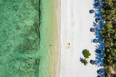 Tropik sahil manzarası, Mauritius adasında tatil. Rüya gibi egzotik bir ada, tropik bir cennet. Mauritius adasının en iyi plajları, Mauritius, Hint Okyanusu, Afrika 'nın lüks tatil beldeleri..