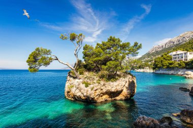 Hırvatistan 'ın Dalmaçya kıyısındaki Brela kentinin Kamen Brela sembolü. Kamen Brela, Makarska Riviera, Dalmaçya, Hırvatistan 'daki küçük ünlü ada.