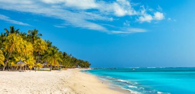 Mauritius 'taki tropik Le Morne plajında palmiye ağaçları. Mauritius, Le Morne plajındaki tropik tatil geçmişi. Mauritius adasındaki cennet kumsalı, palmiye ağaçları, beyaz kum, gök mavisi suyu..