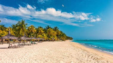 Mauriutius 'taki Le Morne Brabant plajında palmiye ağaçları ve şemsiyelerle dolu bir plaj. Le Morne plajı ve Mauritius 'ta lüks plajı olan tropik kristal okyanus. Palmiye ağaçları, beyaz kumlar ve lüks tatil beldeleri olan Le Morne plajı, Mauritius..