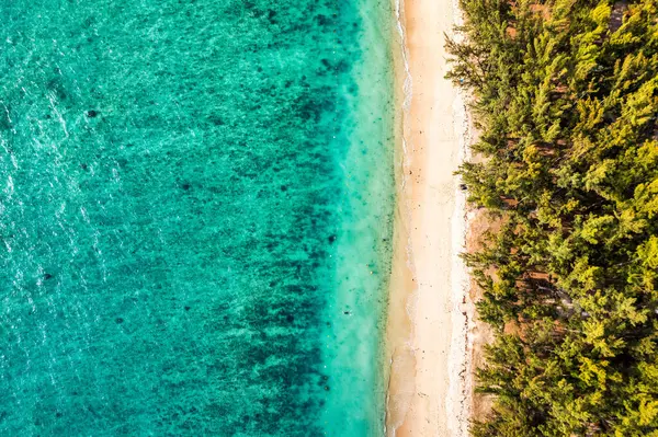 Stock image Beautiful Mauritius island with beach Flic en flac. Coral reef around tropical palm beach, Flic en Flac, Mauritius. Aerial view of a beautiful beach along the coast in Flic en Flac, Mauritius.