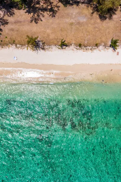 stock image Beautiful Mauritius island with beach Flic en flac. Coral reef around tropical palm beach, Flic en Flac, Mauritius. Aerial view of a beautiful beach along the coast in Flic en Flac, Mauritius.