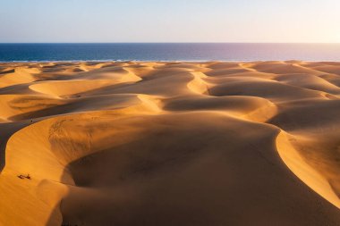 İspanya 'nın Kanarya Adaları, Gran Canaria' daki Maspaloma 'nın Doğal Rezervi manzarası. Gran Canaria, Kanarya Adaları 'ndaki Maspalom Kumulları' nın güzel manzarası, İspanya.