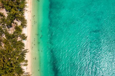 Mauritius sahili Grand Baie, Pereybere North 'taki Mont Choisy plajı manzaralı. Mont Choisy, Mauritius Adası, Afrika halk plajı. Mauritius 'taki Mont Choisy' nin güzel plajı, insansız hava aracı manzarası..