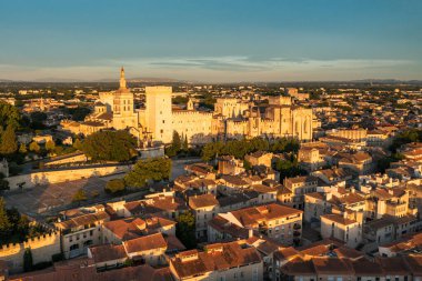 Güney Fransa 'da gün batımında Palais des Papes ile Avignon manzarası. Avignon, Provence, Fransa 'daki Rhone Nehri boyunca ortaçağ mimarisi. Avignon, Güney Fransa 'daki Palais des Papes..
