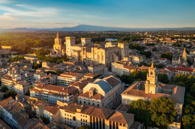 Güney Fransa 'da gün batımında Palais des Papes ile Avignon manzarası. Avignon, Provence, Fransa 'daki Rhone Nehri boyunca ortaçağ mimarisi. Avignon, Güney Fransa 'daki Palais des Papes..
