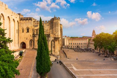 Güney Fransa 'da gün batımında Palais des Papes ile Avignon manzarası. Avignon, Provence, Fransa 'daki Rhone Nehri boyunca ortaçağ mimarisi. Avignon, Güney Fransa 'daki Palais des Papes..