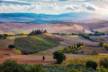Tanınmış Toskana manzarası tahıl tarlaları, selvi ağaçları ve gün batımında tepelerde evler. Tuscany, İtalya ve Avrupa 'da kıvrımlı yolu olan yaz kırsal arazisi