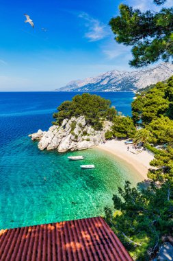 Hırvatistan 'ın Makarska Riviera kentinin Brela kentindeki güzel Podrace plajının muhteşem hava manzarası. Hırvatistan 'ın Makarska Riviera, Brela ve Dalmaçya bölgesindeki Podrace plajı ve liman manzarası.