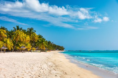 Mauriutius 'taki Le Morne Brabant plajında palmiye ağaçları ve şemsiyelerle dolu bir plaj. Le Morne plajı ve Mauritius 'ta lüks plajı olan tropik kristal okyanus. Palmiye ağaçları, beyaz kumlar ve lüks tatil beldeleri olan Le Morne plajı, Mauritius..