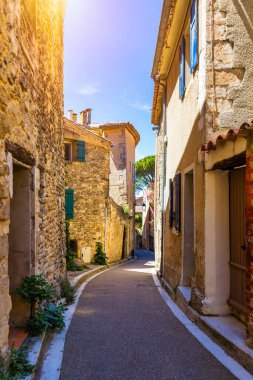 Venasque 'da güneş taşı ve canlı çiçeklerle dolu büyüleyici dar bir cadde, Provence, Fransa. Venasque 'nin pitoresk köyünde dar bir sokakta canlı çiçeklerle süslenmiş taş binalar var..