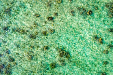 Tropik sahil manzarası, Mauritius adasında tatil. Rüya gibi egzotik bir ada, tropik bir cennet. Mauritius adasının en iyi plajları, Mauritius, Hint Okyanusu, Afrika 'nın lüks tatil beldeleri..