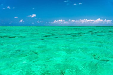 Canlı yeşilde su yüzeyi. Kristal berrak deniz suyu dokusunun görüntüsü. Doğal deniz suyuna bak, yeşil arkaplan. Yeşil su yansıması. Yeşil okyanus dalgası.