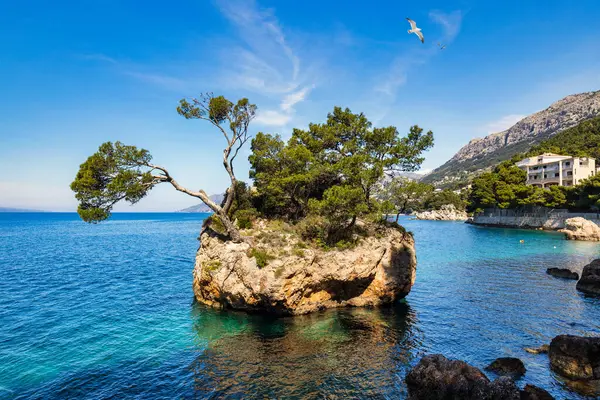 Hırvatistan 'ın Dalmaçya kıyısındaki Brela kentinin Kamen Brela sembolü. Kamen Brela, Makarska Riviera, Dalmaçya, Hırvatistan 'daki küçük ünlü ada.