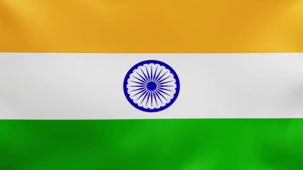 Indian National Flag Waving Wind Full Screen Background — Vídeos de Stock