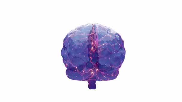 大脑信号 神经元在大脑的不同区域之间传递信息 — 图库视频影像