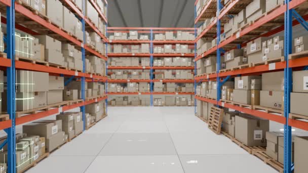Scanner Scanning Inventory Delivery Boxes Parcel Stock Warehouse Animation — Stock Video