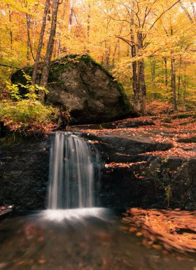 Ormanda kayaların üzerinden akan küçük bir şelalenin dikey görüntüsü.