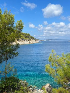 Yeşil kıyı şeridi ve mavi denizin dikey görüntüsü.