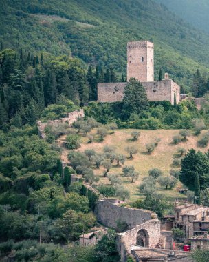 Federal Havacılık Dairesi 'nin dikey alçak açılı ormanlık arka planlı Castello di Avio' su.