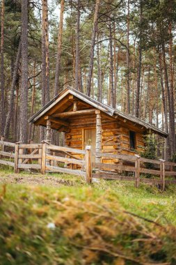 Ormandaki ağaçlarla çevrili bir evin dikey görüntüsü.
