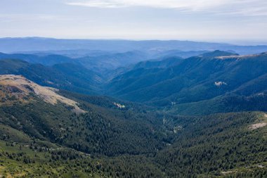 Güneşli bir günde mavi gökyüzünün altında yoğun çam ormanı ve yeşil vadi ile kaplı katmanlı sıradağların çarpıcı manzarası.
