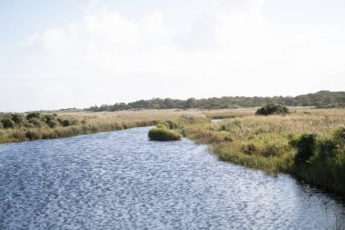 Hollanda 'daki kırsal bir araziden akan nehrin güzel bir görüntüsü.
