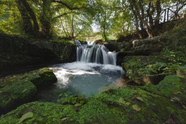 Cascate di Monte Gelato mantar nehri manzaralı bir şelale manzarası