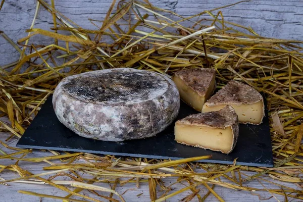 法国Tomme Savoie奶酪特写镜头 — 图库照片