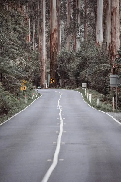 Pionowe Ujęcie Black Spur Drive Yarra Ranges Australian Regional Roads — Zdjęcie stockowe