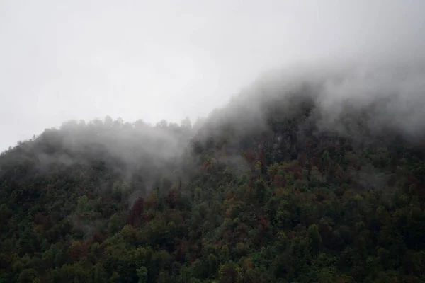 Belo Tiro Pico Montanha Nebuloso Coberto Com Árvores Verdes Uma — Fotografia de Stock