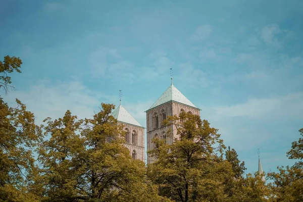 Las Dos Torres Catedral Munster Detrás Los Árboles Otoño Alemania —  Fotos de Stock