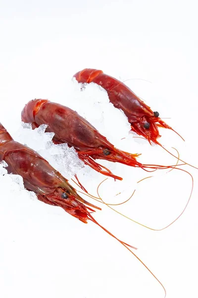 Plan Vertical Crevettes Fraîches Rouges Crues Sur Glace Isolée Sur — Photo