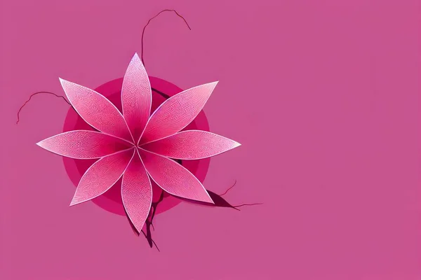 A pink flower isolated on a pink background with copy space