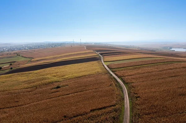 太陽の下で美しい小麦畑を通る道路の空中風景 — ストック写真