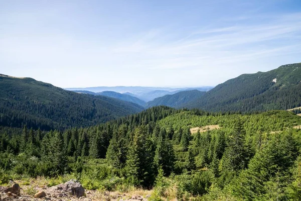Wspaniały Widok Wielowarstwowe Pasma Górskie Pokryte Gęstym Lasem Sosnowym Pod — Zdjęcie stockowe