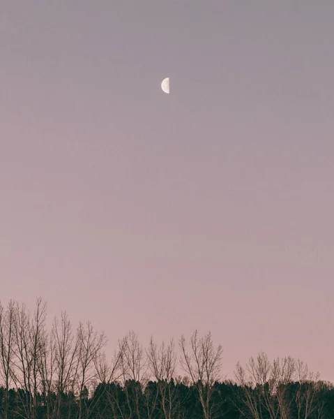 Vertikální Záběr Bílého Půlměsíce Světle Purpurové Obloze Stromy Pod Ideální — Stock fotografie